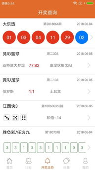 足彩竞猜开奖奖金查询系统概述