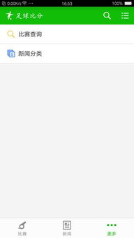 足球比分查询的重要性