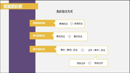 足彩竞猜比分的基础知识