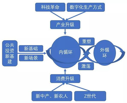 南美区独特的大循环赛制解析