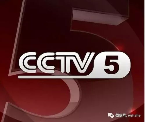 一、CCTV5直播平台的核心优势解析
