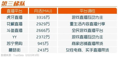 官方直播平台选择策略