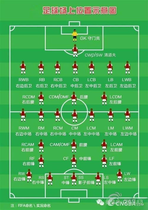 一、足球阵型基础与位置编号体系