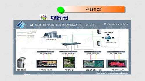 官方信息发布平台解析