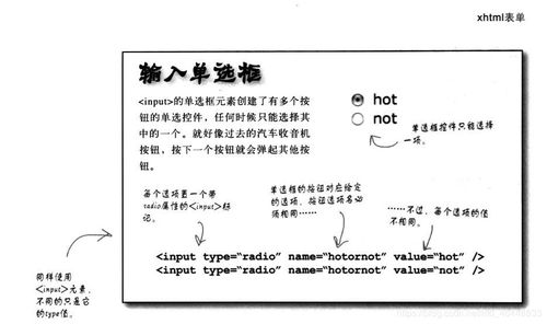 一、基础赛事查询渠道解析