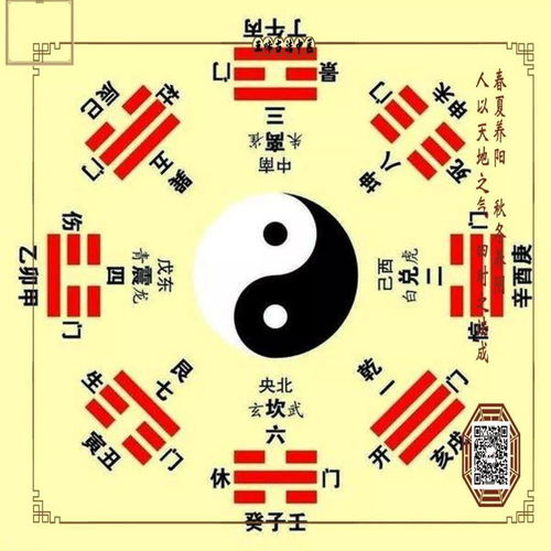 足球号码系统的历史渊源与位置对应