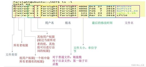 竞彩网的核心功能解析
