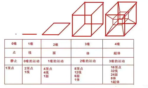 一、四号位的起源与历史演变