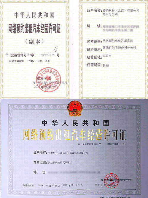 一、合法平台识别与资质验证体系