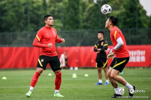 国足当前备战状态与阵容革新