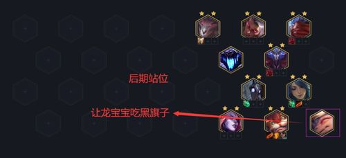 全新阵容深度解析