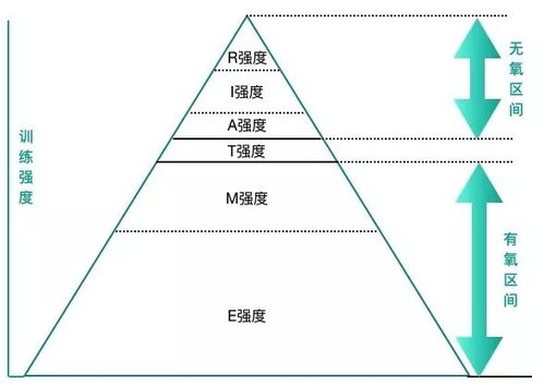 一、赛事背景与观赛需求解析