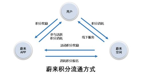 南美区预选赛积分体系解读