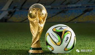 2026世界杯48队国家是哪48支,2026世界杯不用熬夜了