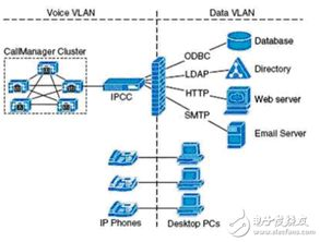 一、官方赛事平台的核心优势解析
