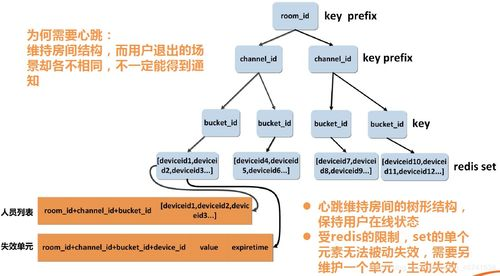 一、专业直播平台的架构原理