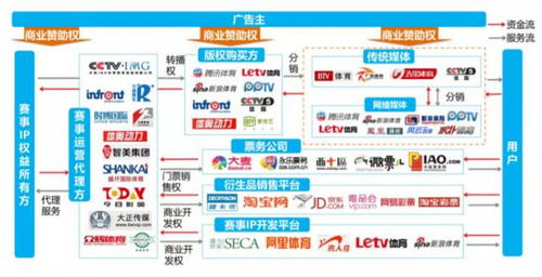 一、官方体育平台直播优势解析