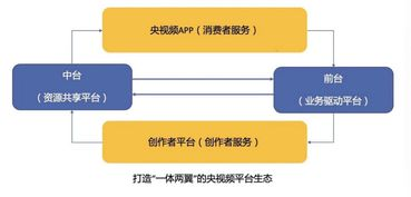 竞彩网双平台服务体系解析