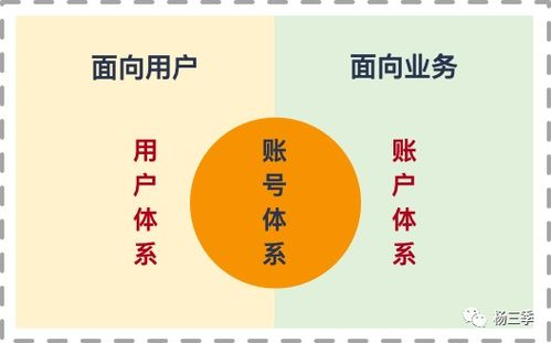 足球号码体系的历史溯源与4号定位