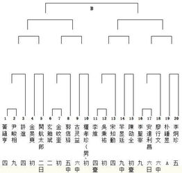 预选赛分组架构与赛制改革