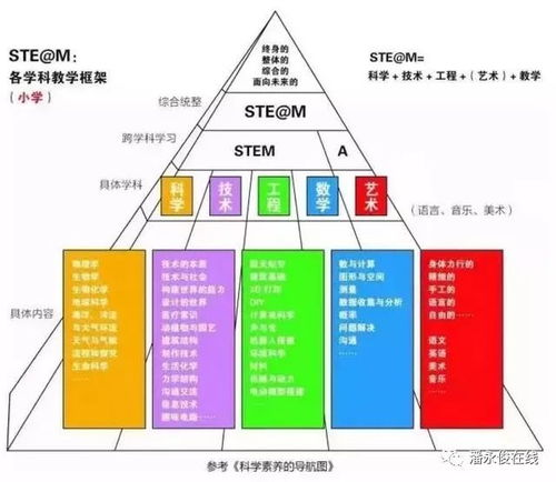 全球预选赛体系架构解析