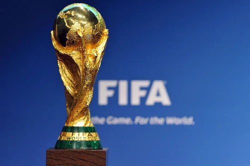 美加墨世界杯48支球队 美加墨世界杯48支球队名单最新