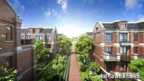 非洲区预选赛赛制核心解析