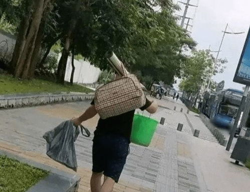 一、历史起源与位置演变