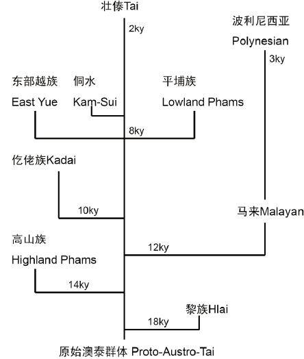 足球号码体系的起源与演变