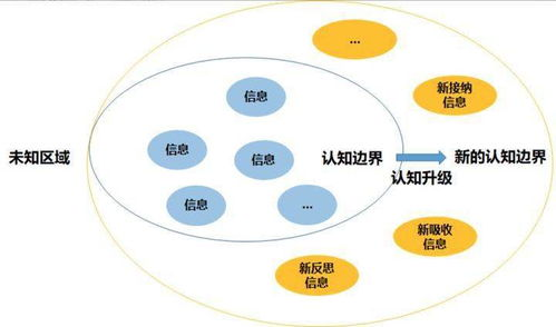 基础认知重构：突破传统投注思维误区