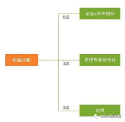 实时比分系统的运作机制解析