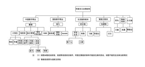 一、国际赛事组织的标准时间框架