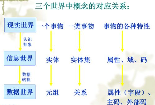 基础数据模型构建原理