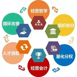一、官方平台的核心运营优势解析
