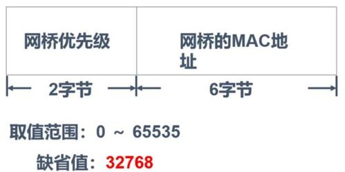 一、赛制与分组概况