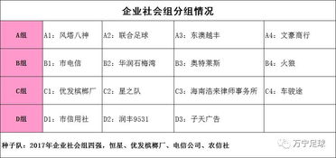 扩军后的参赛规模与分组逻辑