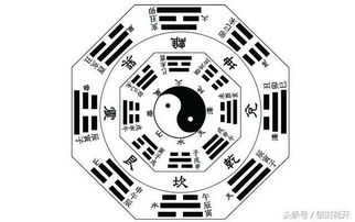 经典4号位的历史演变与战术定位