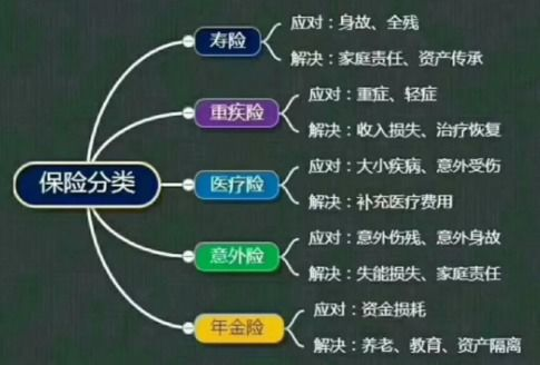 一、竞彩网核心功能全景解析