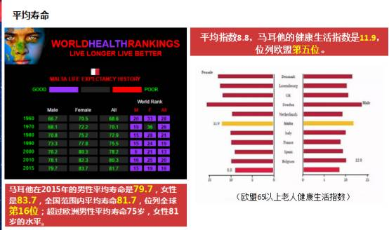 竞彩网北单查询平台的四大核心优势