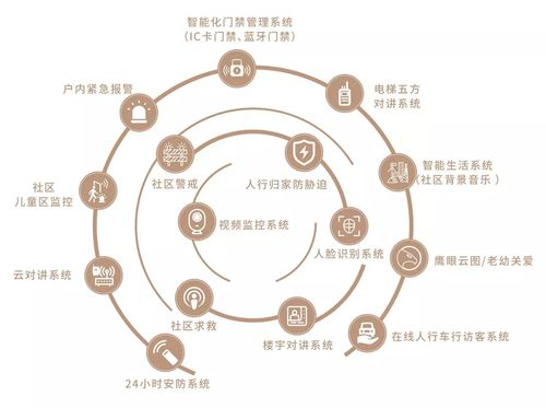 4号位的基因解码