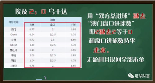 竞彩足球基本玩法解析