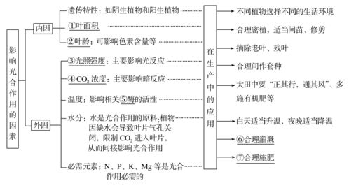 一、四号位的定义与历史沿革