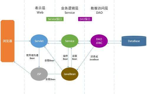 专业赛事数据库的构建逻辑