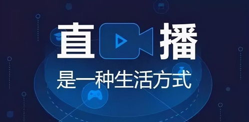 一、主流体育直播平台的选择