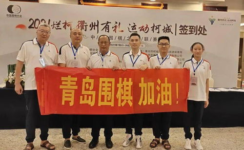 历史背景与参赛队伍