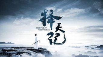 一、历史回顾：从希望到挑战