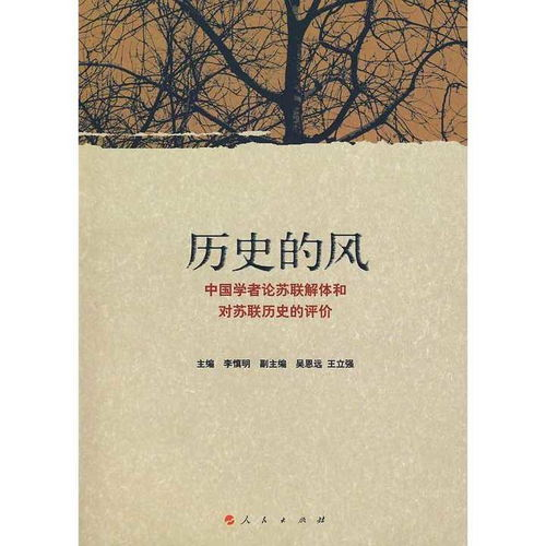一、历史回顾：曾经的荣耀与遗憾
