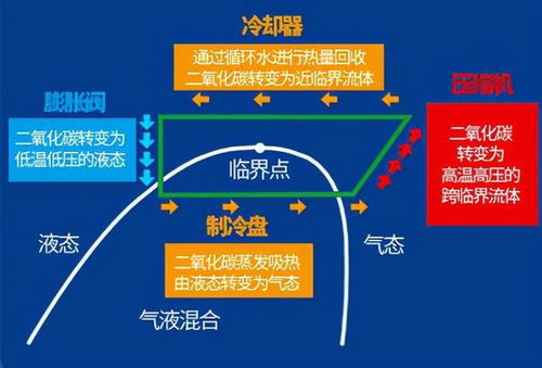 一、比赛的重要性