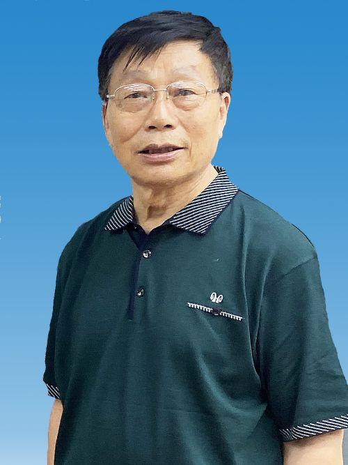 一、参赛队伍概况