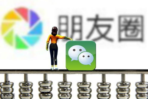 一、南美赛区的基本概况